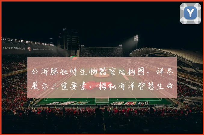 公海豚独特生物器官结构图，详尽展示三重要素，揭秘海洋智慧生命之美