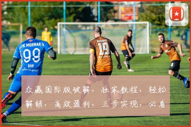 众赢国际版破解，独家教程，轻松解锁，高效盈利，三步实现，必看攻略，不容错过